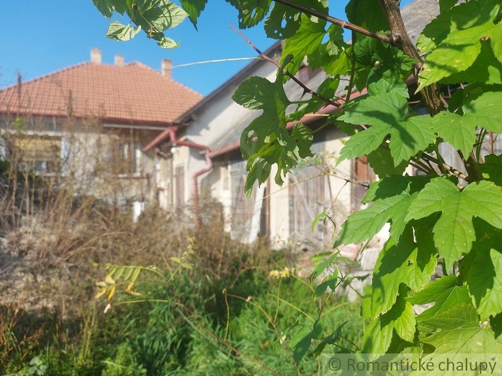 Priestranný dom na rozlahlom pozemku len 300 m od Dunaja v obci Kravany nad Dunajom