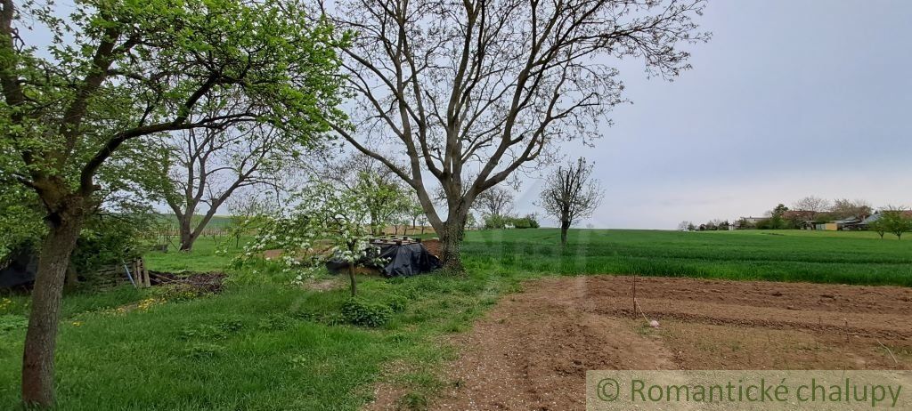 Predaj vidieckeho domu s veľkým pozemkom v obci Radošina-Bzince.