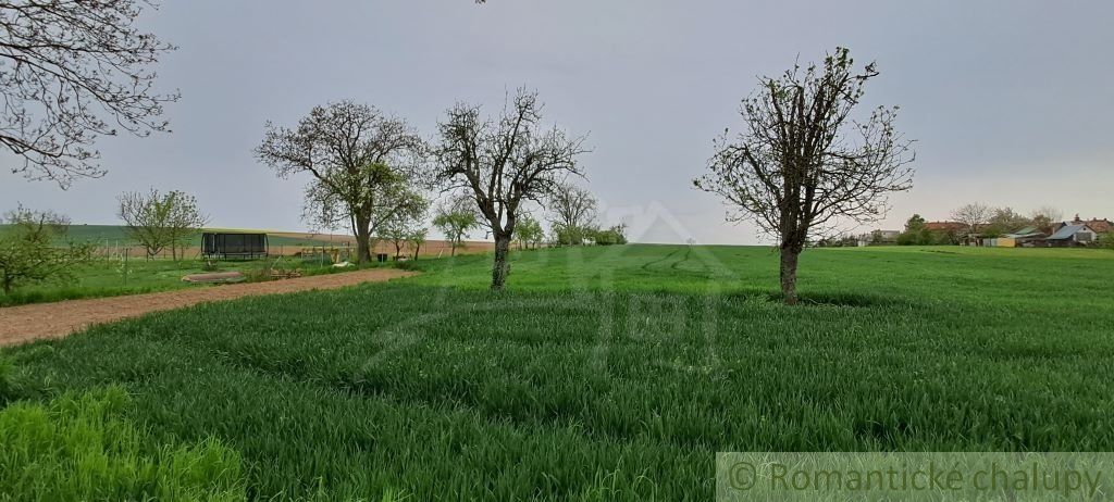 Predaj vidieckeho domu s veľkým pozemkom v obci Radošina-Bzince.