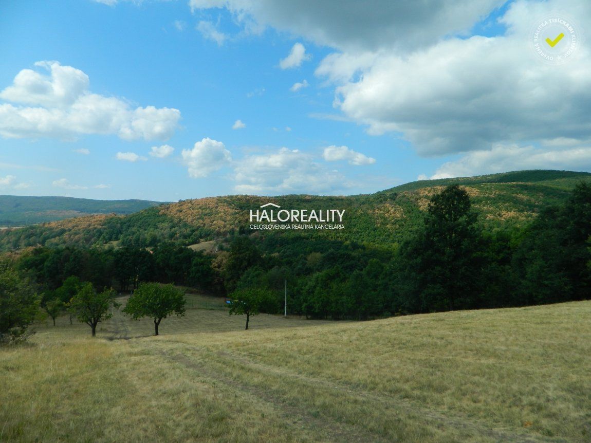 HALO reality - Predaj, pozemok   6881 m2 Krupina, iba 4€/m2 - ZNÍŽENÁ CENA