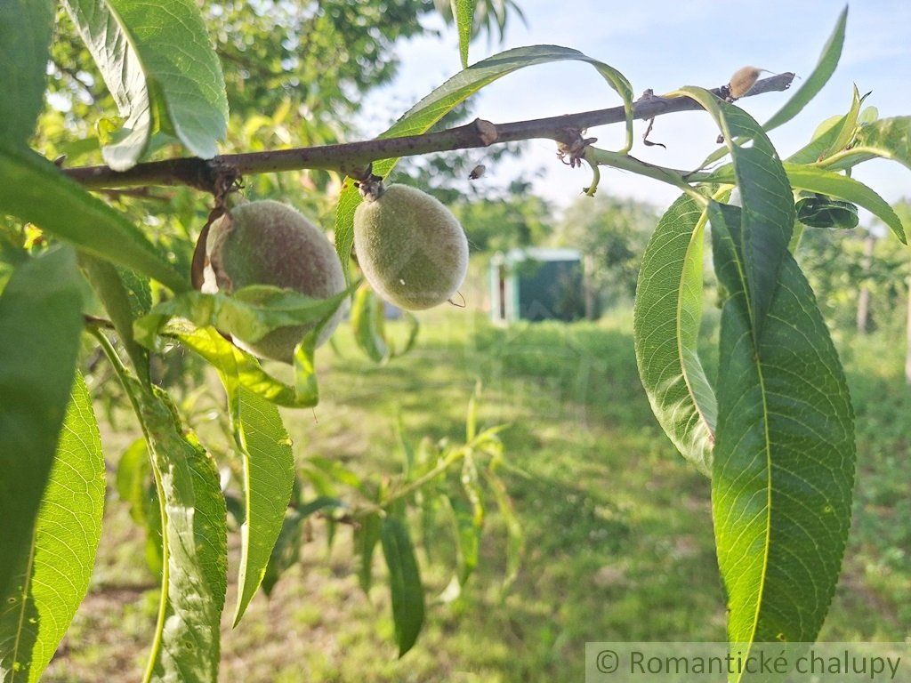 Rovinatý pozemok so základovou doskou na okraji podunajskej dedinky Moča