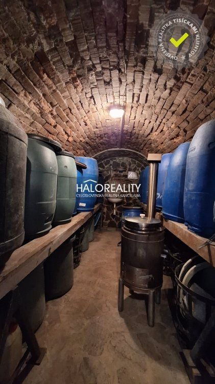 HALO reality - Predaj, chata Trávnica, s krásnou vinicou