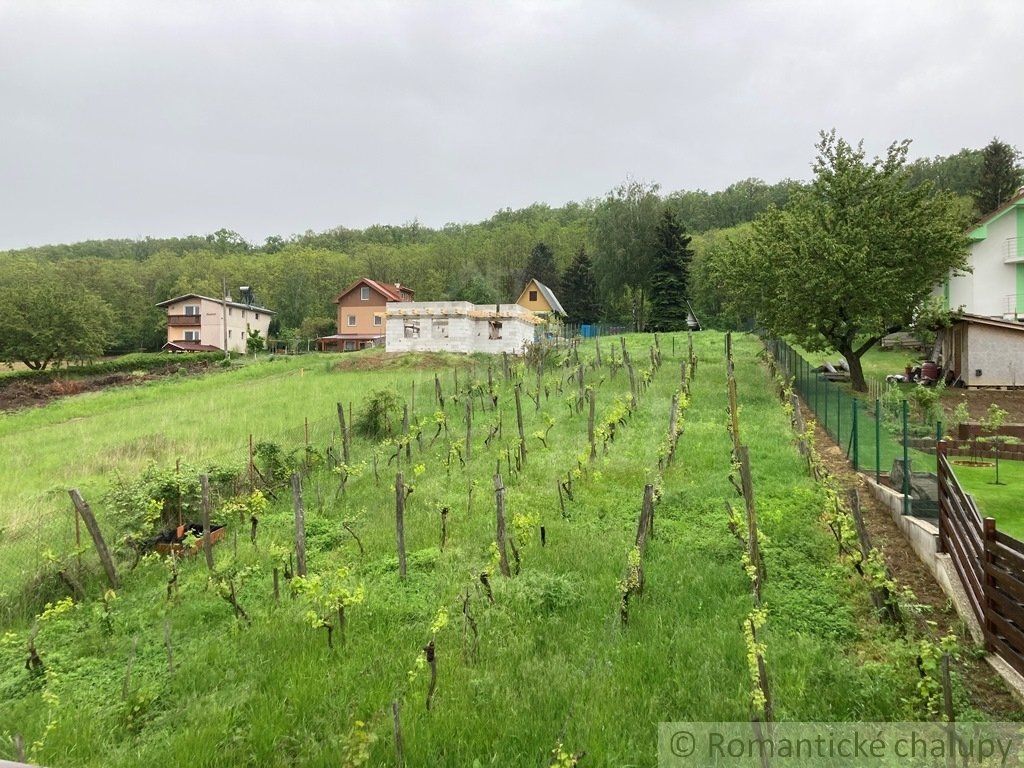 Útulne zrekonštruovaný dom na krásnom slnečnom pozemku s vinicou v obci Podhájska