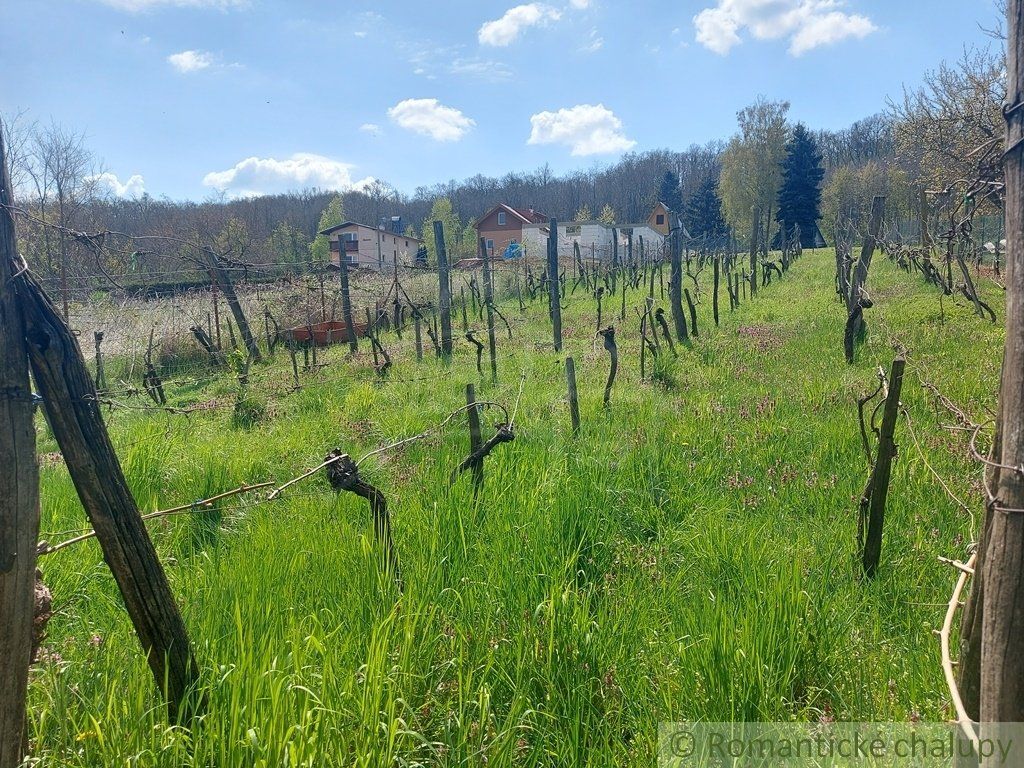 Útulne zrekonštruovaný dom na krásnom slnečnom pozemku s vinicou v obci Podhájska