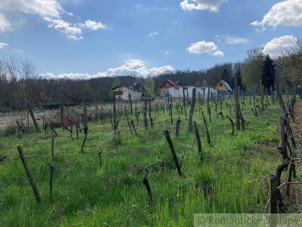 Útulne zrekonštruovaný dom na krásnom slnečnom pozemku s vinicou v obci Podhájska