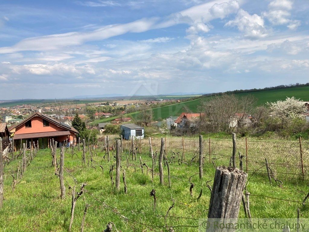 Útulne zrekonštruovaný dom na krásnom slnečnom pozemku s vinicou v obci Podhájska