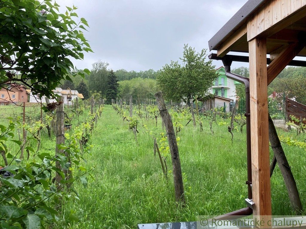 Útulne zrekonštruovaný dom na krásnom slnečnom pozemku s vinicou v obci Podhájska