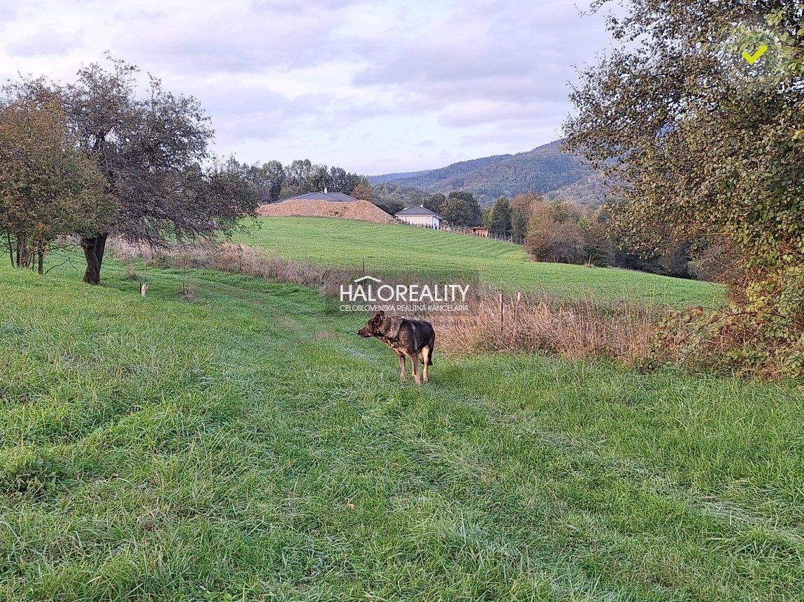 HALO reality - Predaj, pozemok pre rodinný dom   10798 m2 Seč, v celku alebo jednotlivo po stavebných parcelách