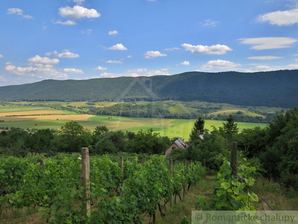 Vinica s chatkou pri obci Hrhov