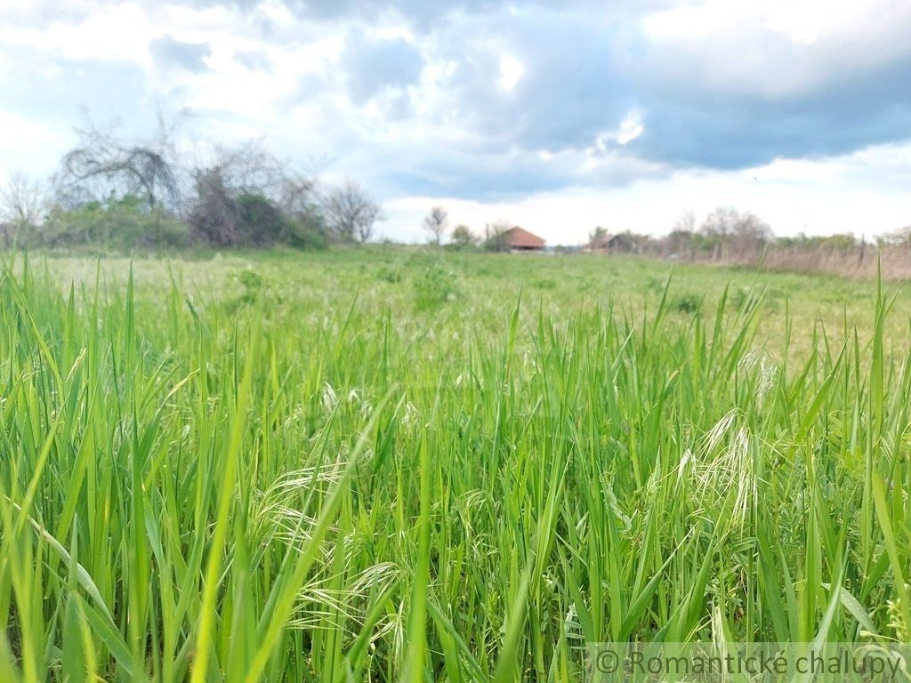 Priestranný 1500 m2 rovinatý pozemok na okraji vinárskej dedinky Moča