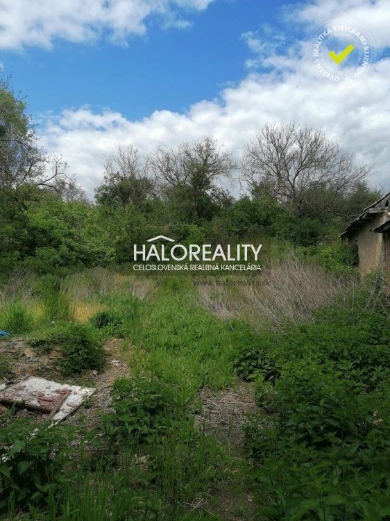 HALO reality - Predaj, rodinný dom Bušince, časť Zombor - ZNÍŽENÁ CENA - EXKLUZÍVNE HALO REALITY