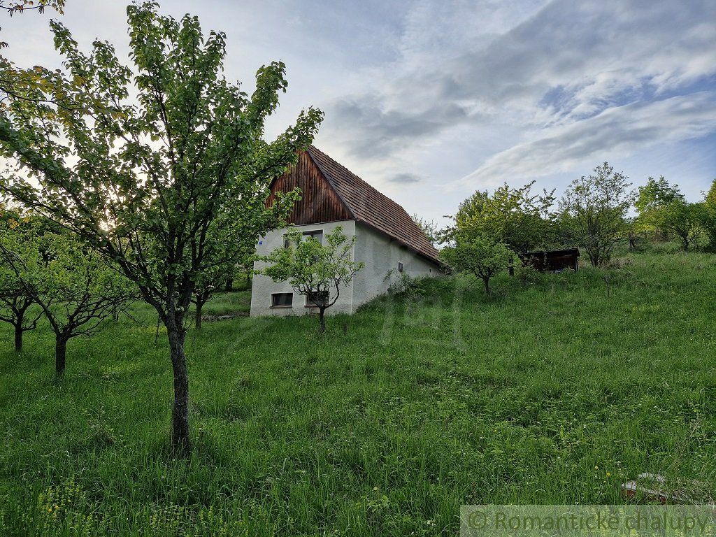 Viničný dom a vinica so vzácnou morušou v Devičanoch