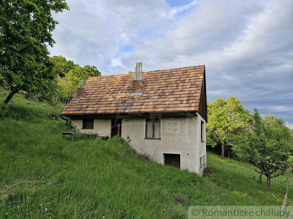 Viničný dom a vinica so vzácnou morušou v Devičanoch