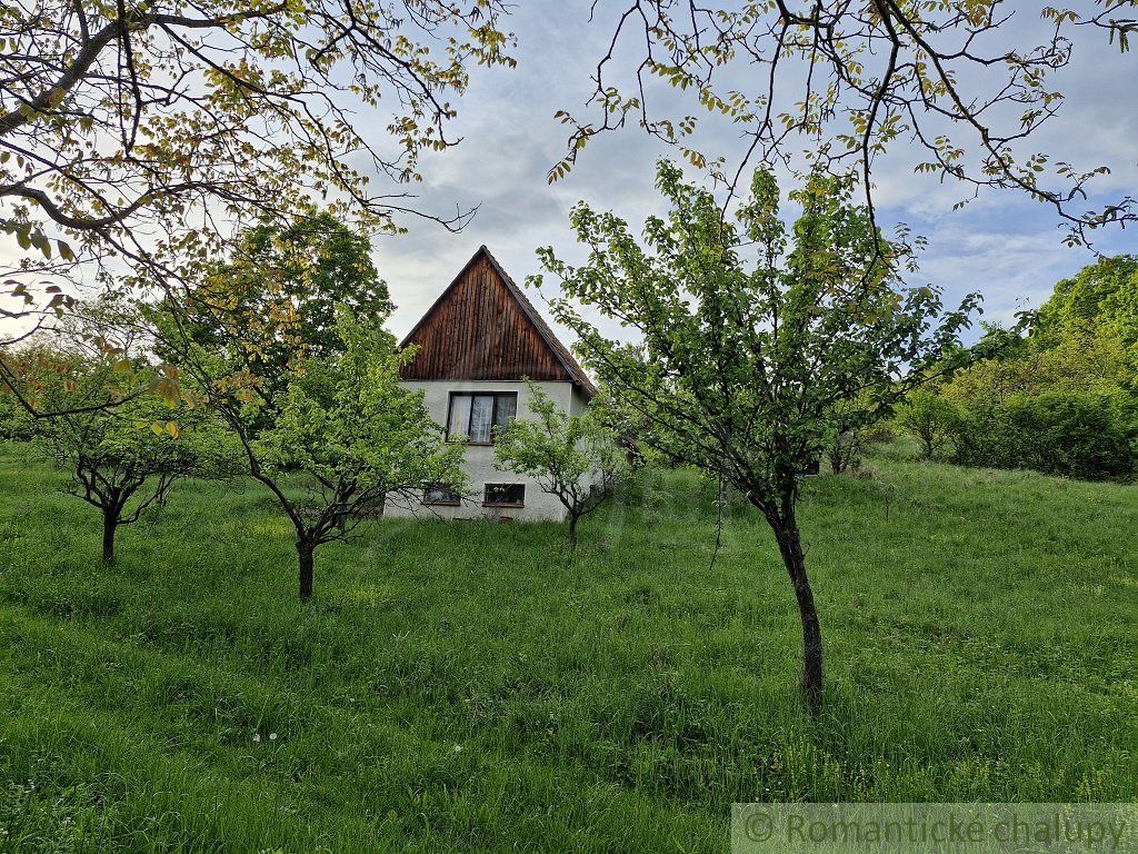 Viničný dom a vinica so vzácnou morušou v Devičanoch