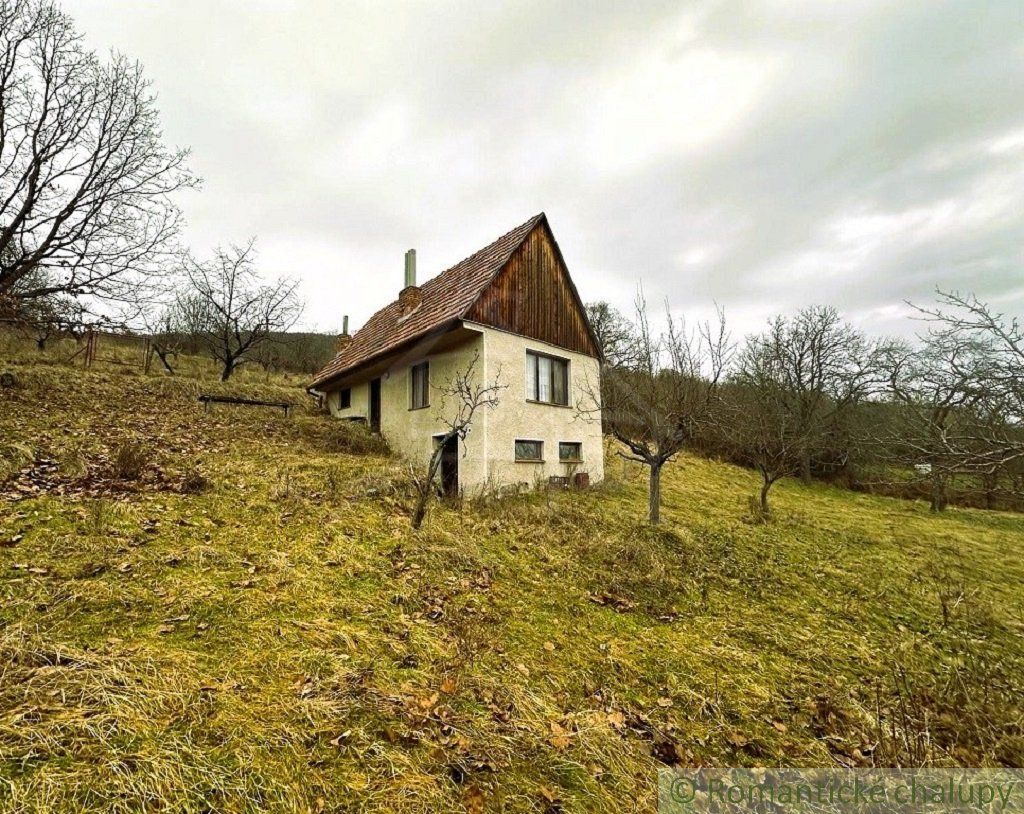 Viničný dom a vinica so vzácnou morušou v Devičanoch