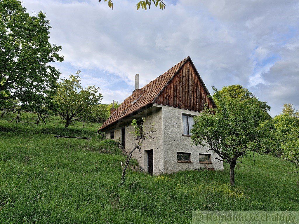 Viničný dom a vinica so vzácnou morušou v Devičanoch