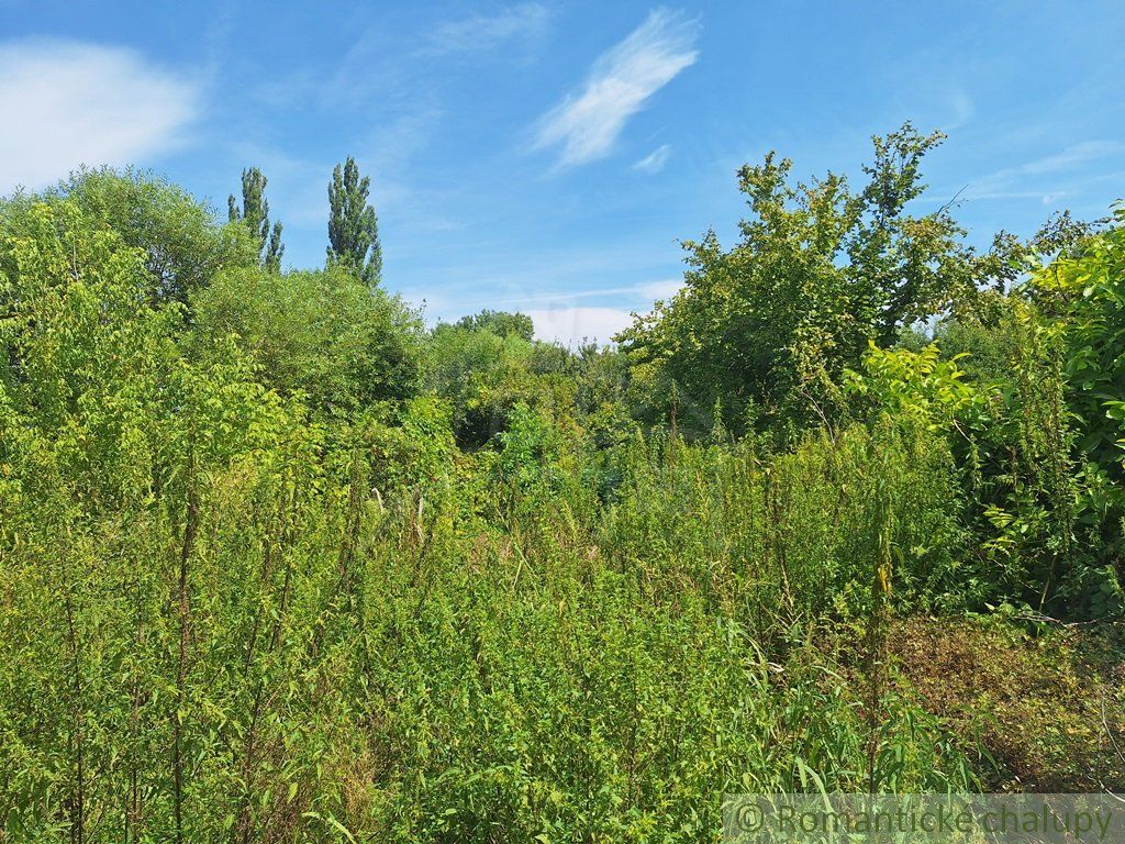 Pôvodný štvorizbový dom na rozľahlom pozemku v malebnej obci Nová Vieska