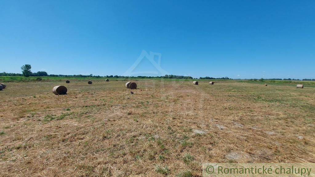 Usadlosť vhodná na farmu alebo chov koní, na samote, s 14 ha pozemkom, 50 min. od BA, pri Veľkom Mederi