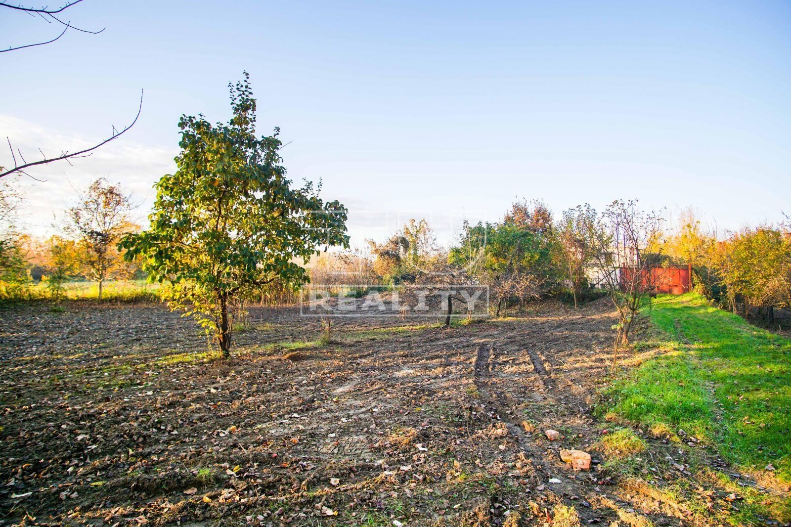 4-izbový rodinný dom s garážou a terasou v lesoch pri Komoči, 1673m2