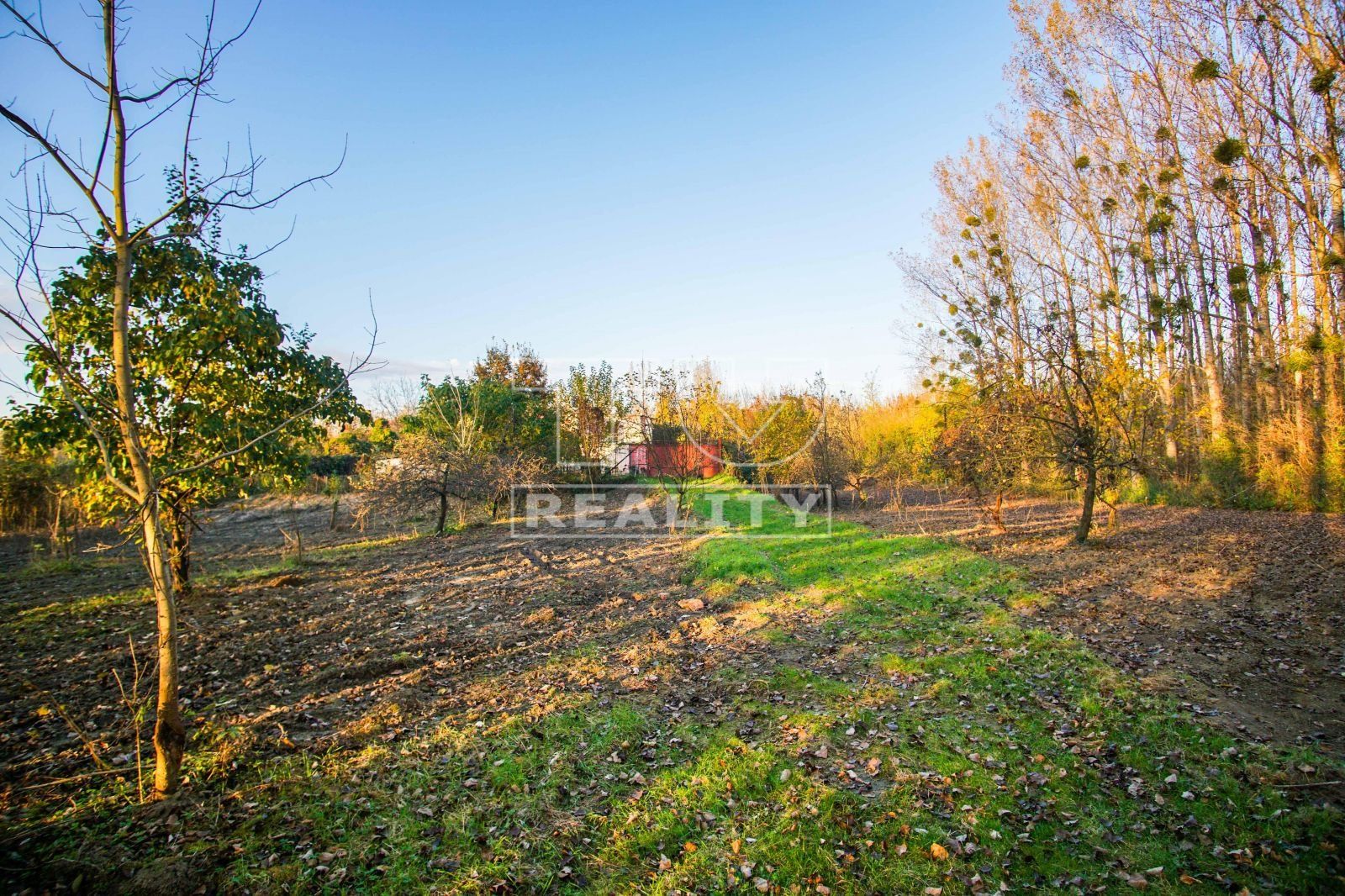 4-izbový rodinný dom s garážou a terasou v lesoch pri Komoči, 1673m2