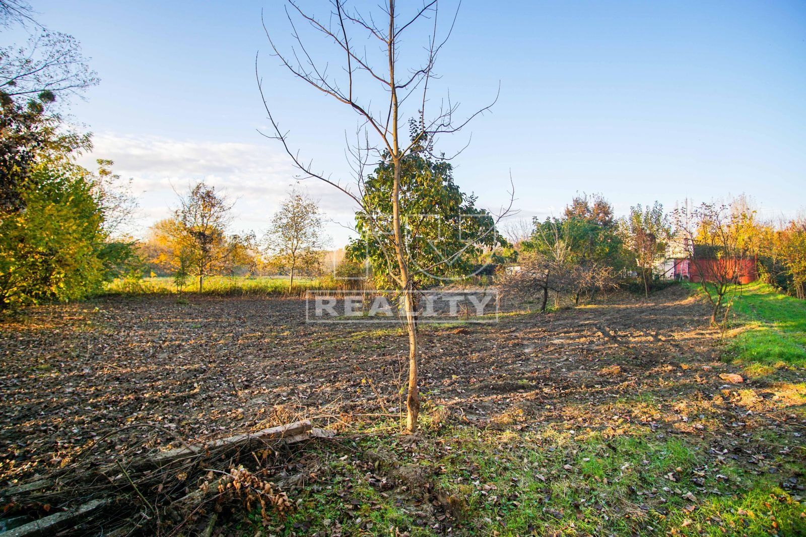 4-izbový rodinný dom s garážou a terasou v lesoch pri Komoči, 1673m2