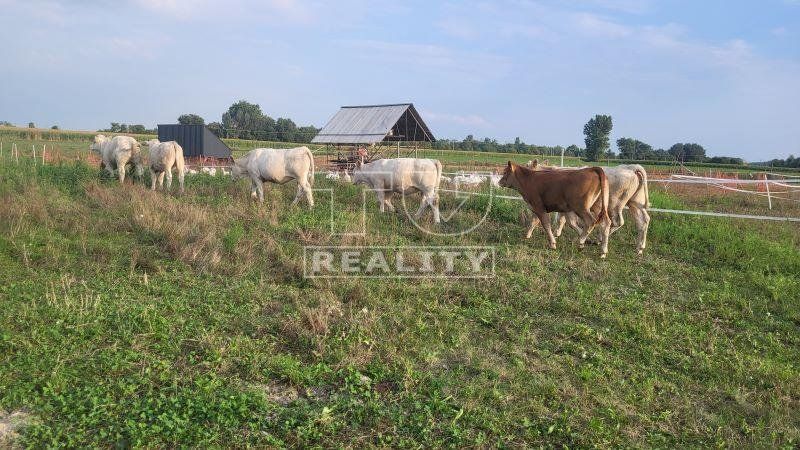 Poľnohospodárska a rodinná usadlosť s rodinným domom 6,2 ha v prírode pri obci Okoč a pri kúpeľnom meste Veľký Meder