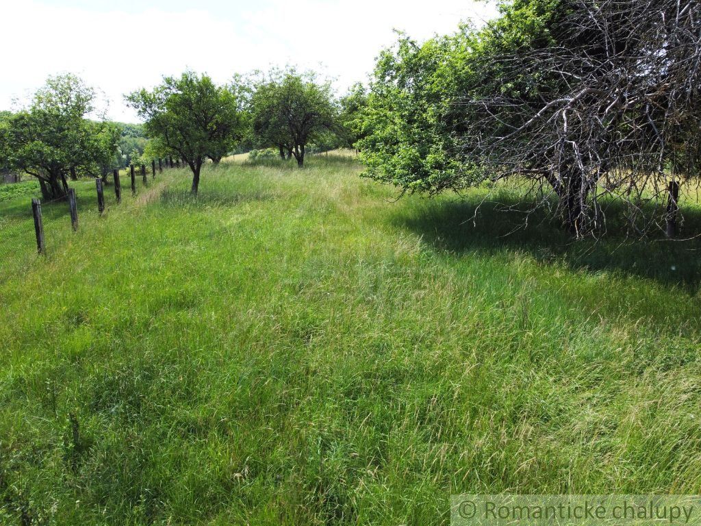 Drevenica na predaj s veľkým- 32 árovým pozemkom