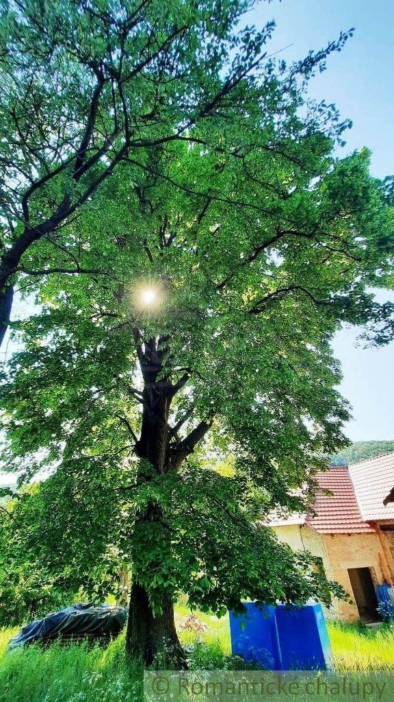 Neobyčajný veľký dom v obklopení Strážovských vrchov na predaj