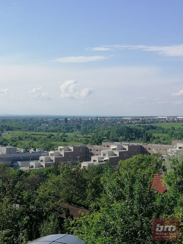 Predaj pozemku s potenciálom priamo pod lesom v Devínskej Novej Vsi