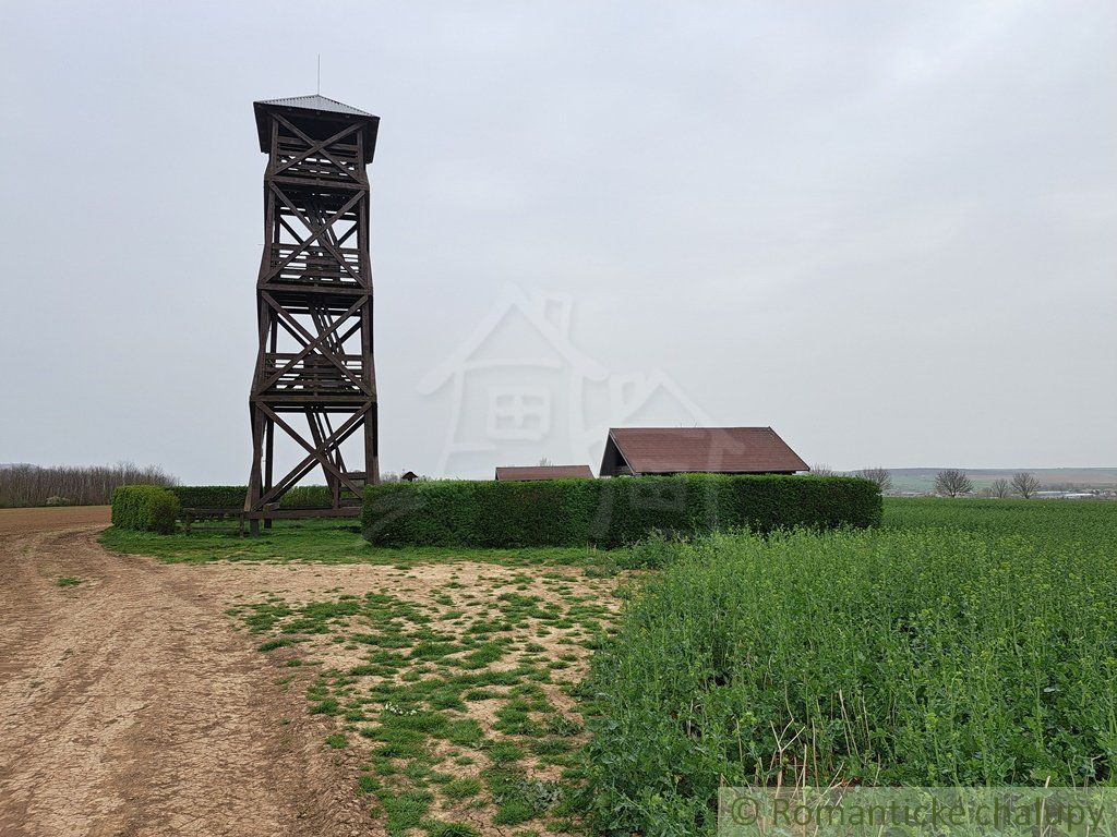 Dvojpodlažný priestranný rodinný dom pri Nitre