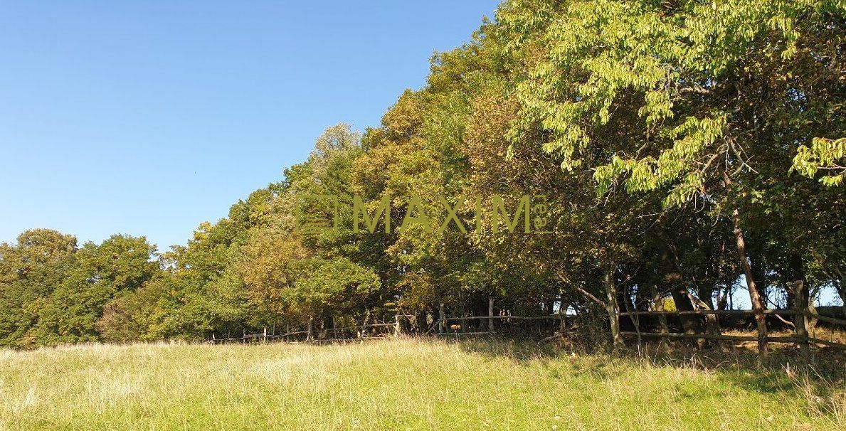 Slnečný takmer hektárový pozemok (9410m²) v k.ú. Kuchyňa s nádherným panoramatickým výhľadom na Rakúsko