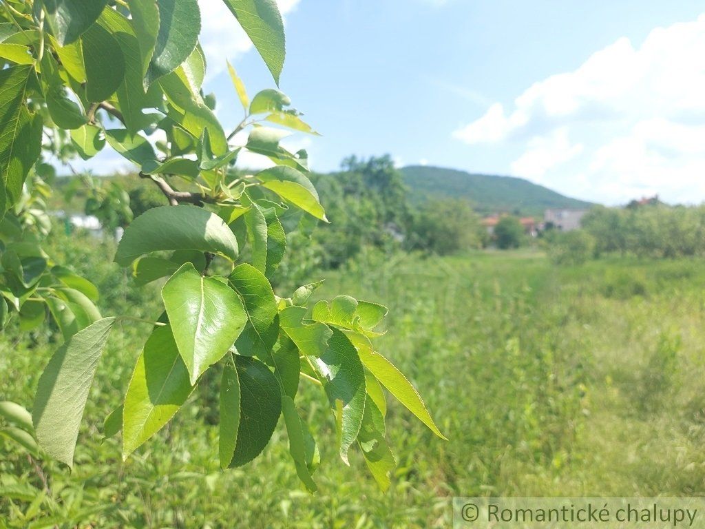 Pôvodný dom na rozľahlom pozemku len 6 km od Štúrova v obci Kamenica nad Hronom