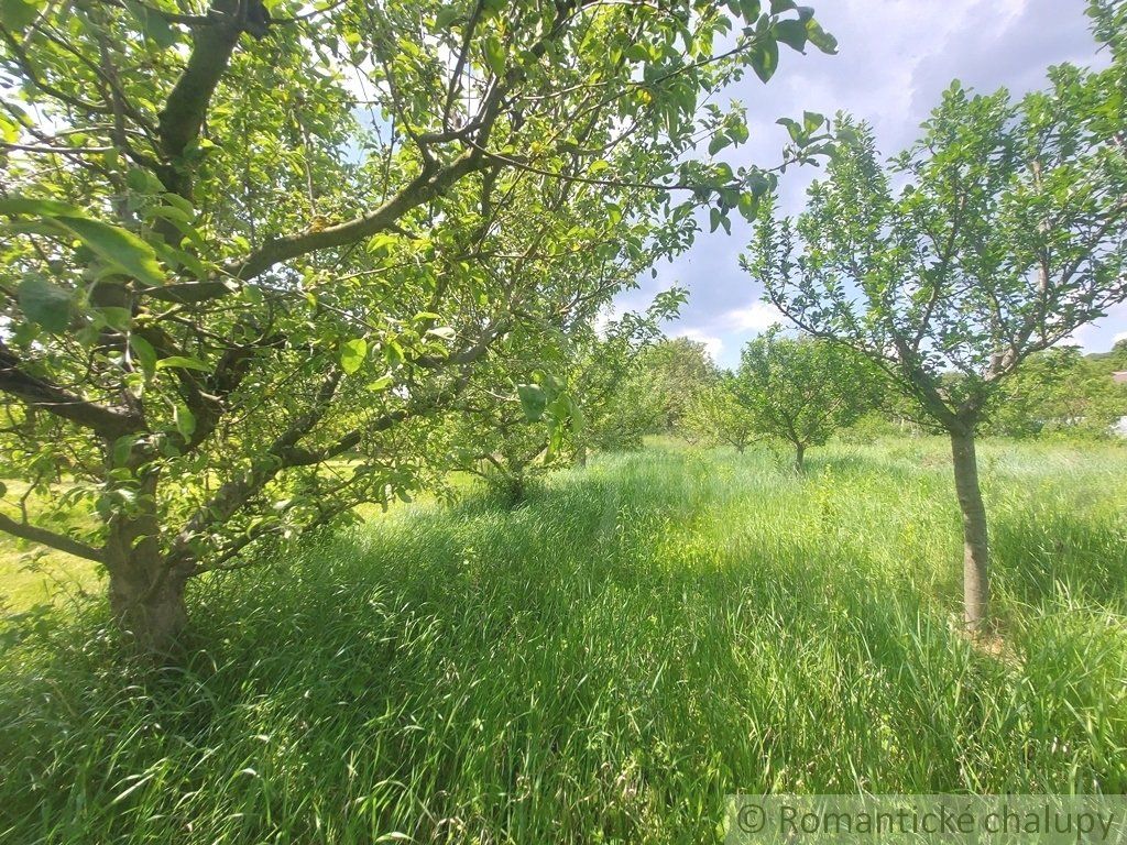 Pôvodný dom na rozľahlom pozemku len 6 km od Štúrova v obci Kamenica nad Hronom