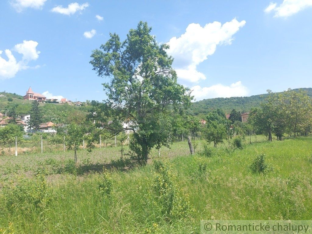 Pôvodný dom na rozľahlom pozemku len 6 km od Štúrova v obci Kamenica nad Hronom