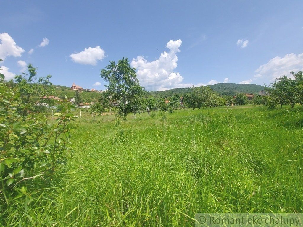 Pôvodný dom na rozľahlom pozemku len 6 km od Štúrova v obci Kamenica nad Hronom