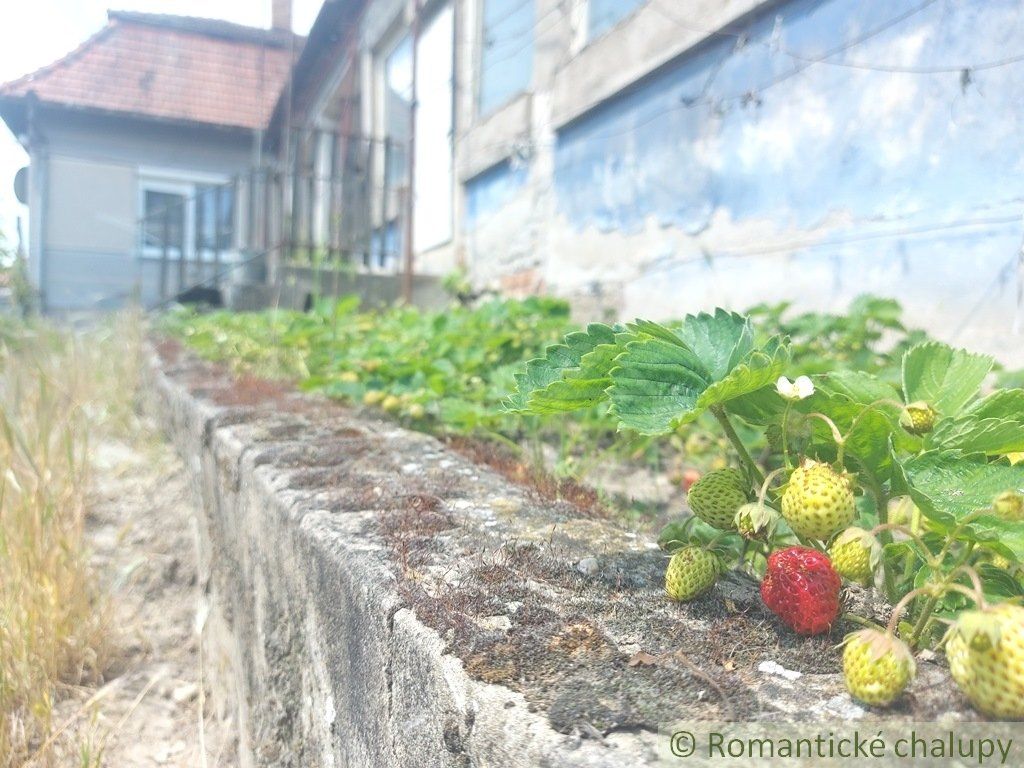 Pôvodný dom na rozľahlom pozemku len 6 km od Štúrova v obci Kamenica nad Hronom