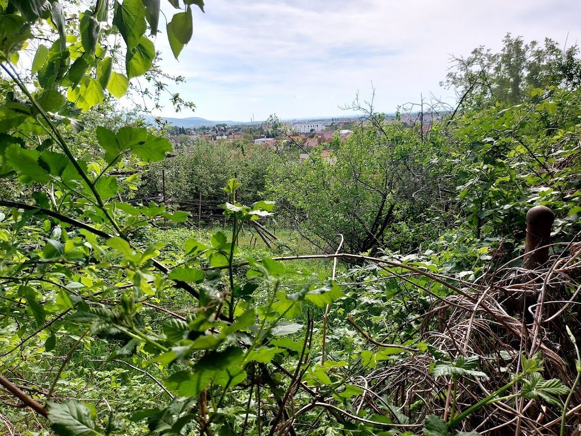 4 izbový dvojpodlažný Rodinný dom (v pôvodnom stave), na rozľahlom slnečnom pozemku, Stupava