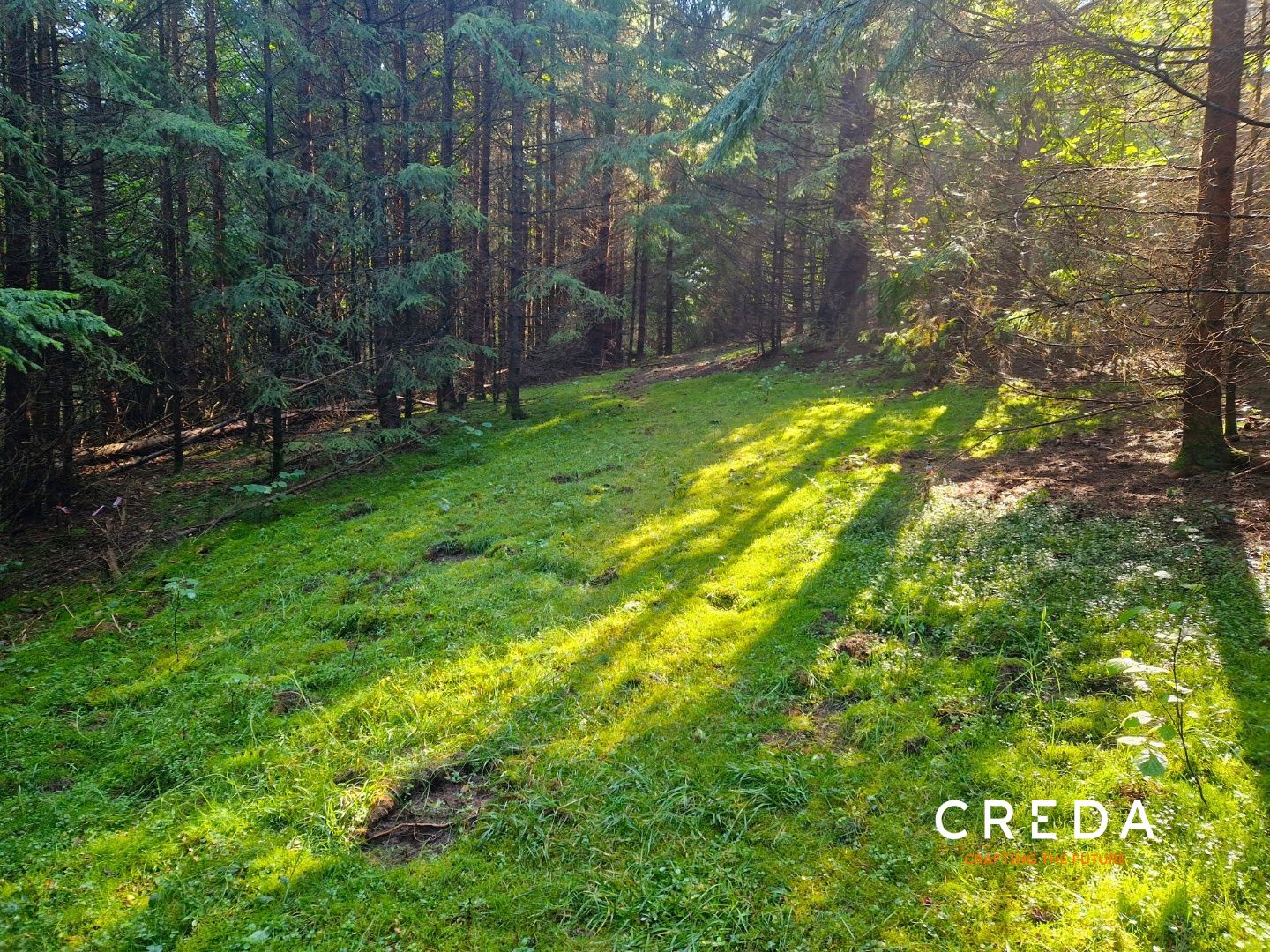 CREDA | predaj chatka so súpisným číslom, pozemok 10 626 M2, Horná Lehota, Tále