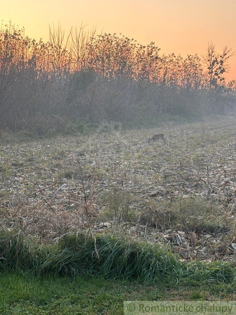 Rodinný dom po kompletnej rekonštrukcii na polosamote neďaleko Kolárova