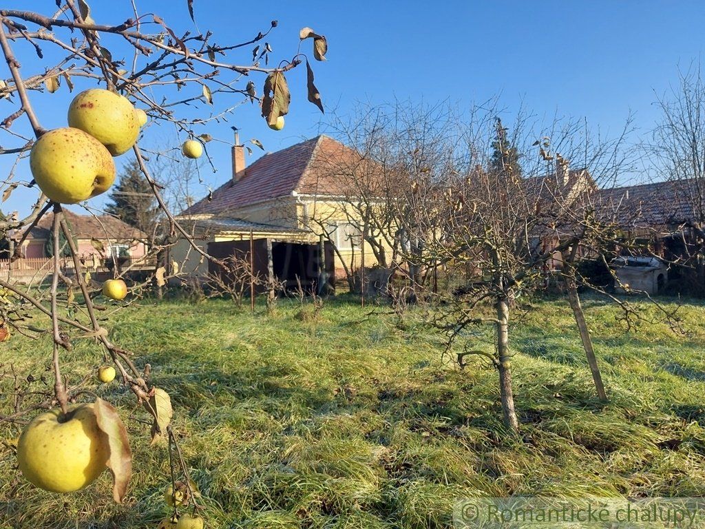 Priestranný 6 izbový podpivničený dom s veľkým pozemkom vo vinárskej obci Búč