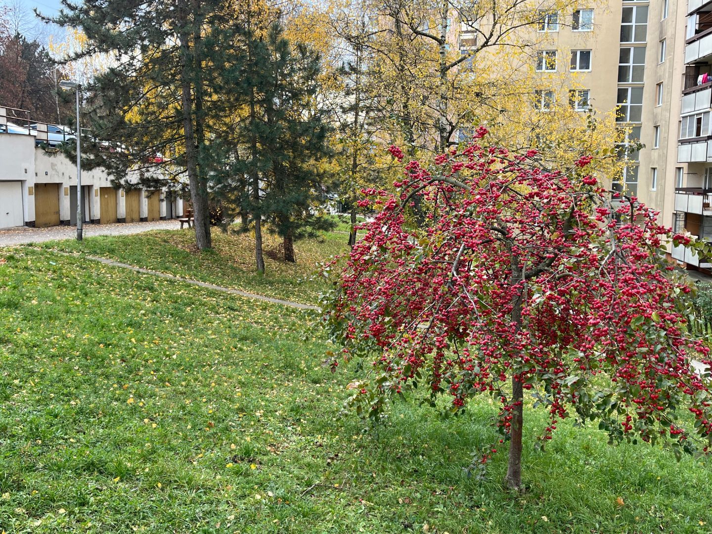 Veľký 3 izbový byt 73 m2 + balkón 6 m2 na ul. Jána Halašu, Trenčín - Juh