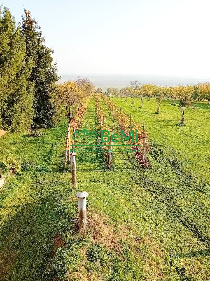Predaj viničného domu s vinohradom - Čaka (042-12-HEKA)
