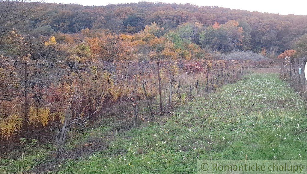 Dve chatky na rozľahlom pozemku pri lese len 6 km od Štúrova