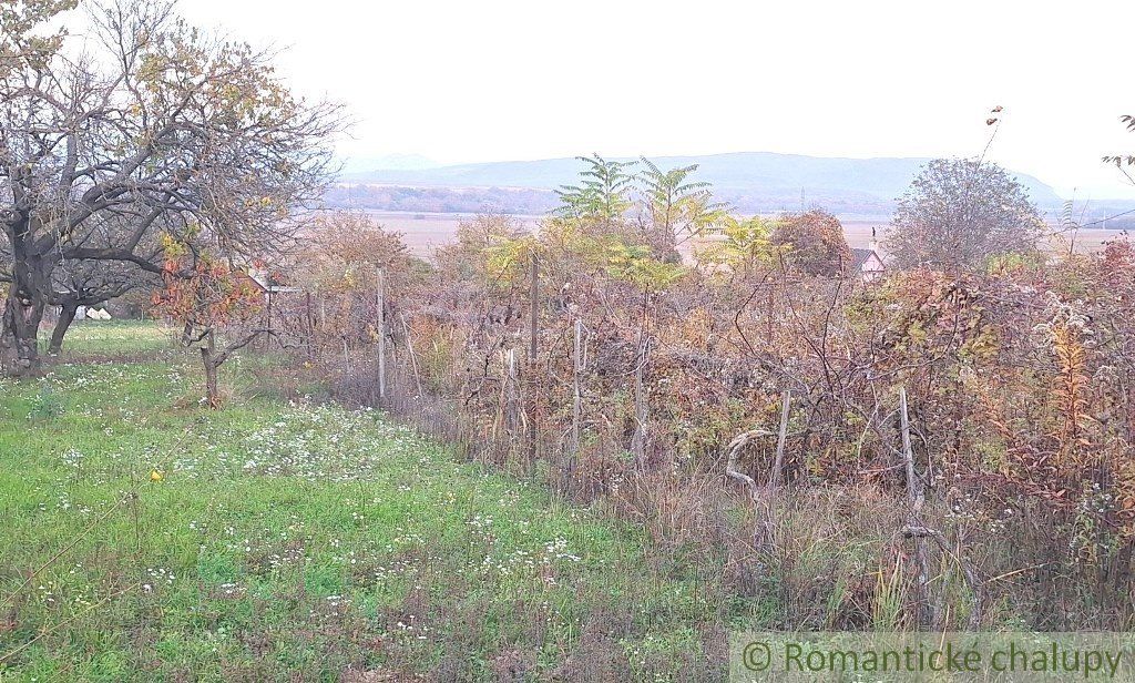 Dve chatky na rozľahlom pozemku pri lese len 6 km od Štúrova