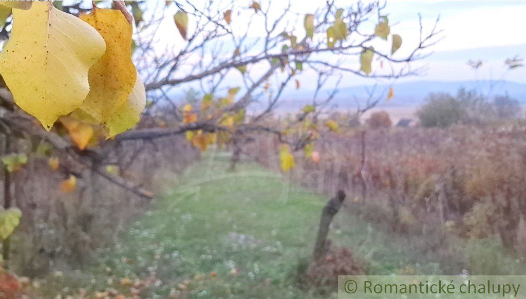 Dve chatky na rozľahlom pozemku pri lese len 6 km od Štúrova