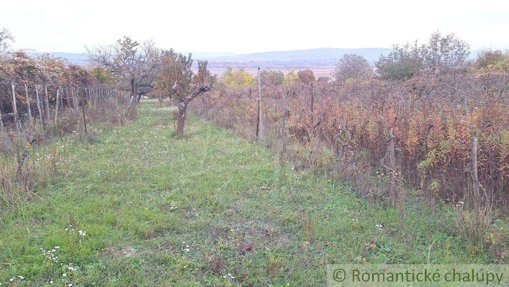 Dve chatky na rozľahlom pozemku pri lese len 6 km od Štúrova