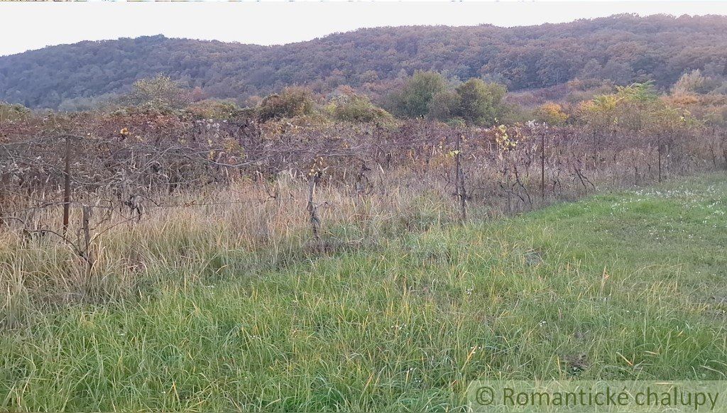 Dve chatky na rozľahlom pozemku pri lese len 6 km od Štúrova