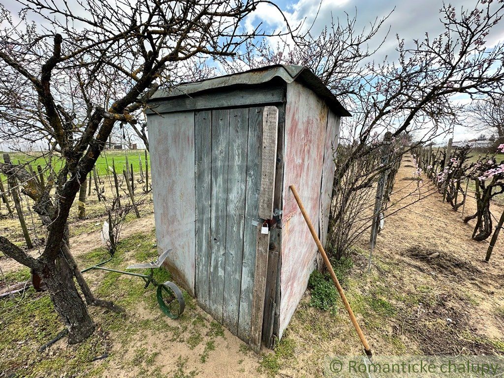 Starostlivo obrábaná záhrada s vinicou na priestrannom pozemku v obci Imeľ