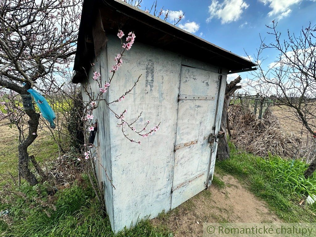 Starostlivo obrábaná záhrada s vinicou na priestrannom pozemku v obci Imeľ