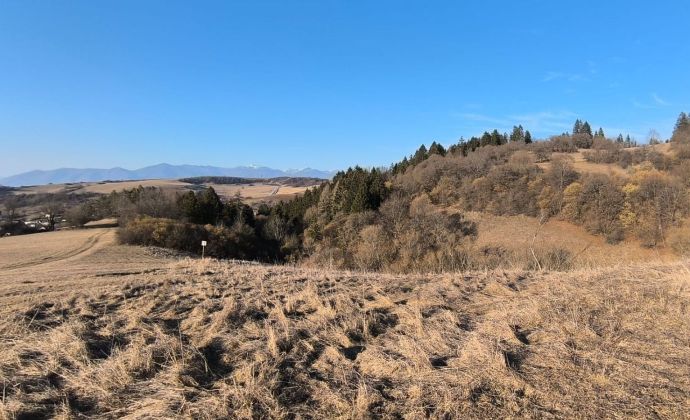 pozemok na predaj - Dulice - okres Martin